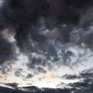 Meet your Posher, Ava